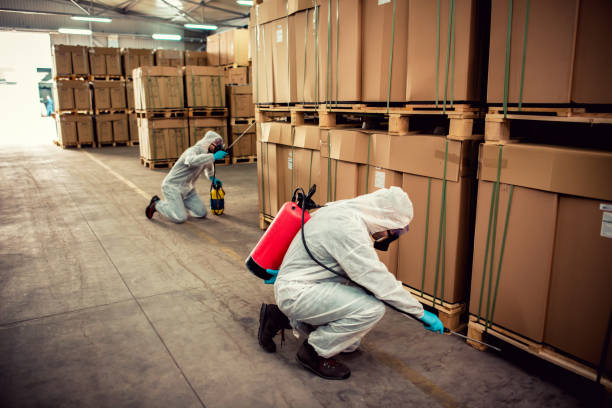 Best Pest Removal Services  in Stanton, CA