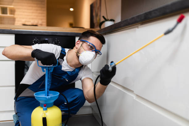 Best Pest Inspection Near Me  in Stanton, CA