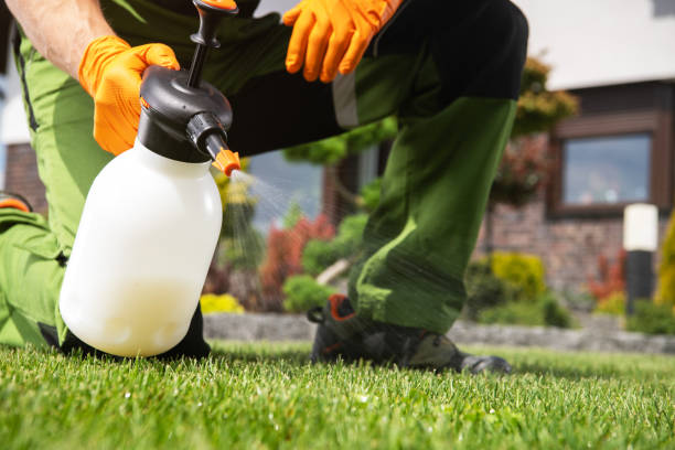 Professional Pest Control in Stanton, CA