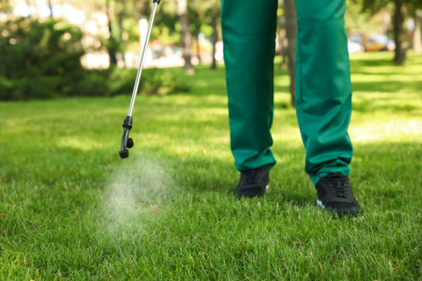 Best Flea Control Services  in Stanton, CA