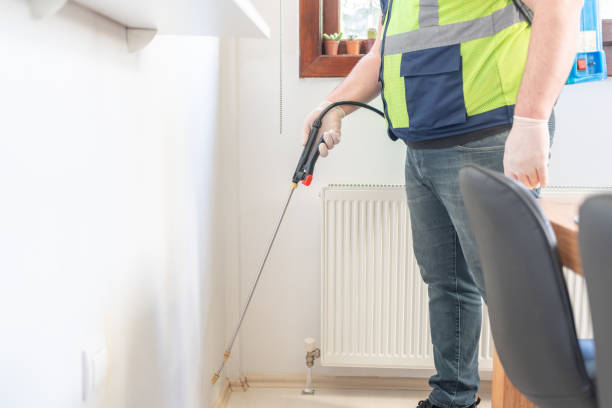 Best Insect Control  in Stanton, CA