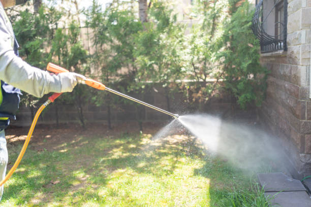 Best Wasp Removal Services  in Stanton, CA
