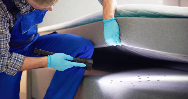Best Residential Pest Control  in Stanton, CA