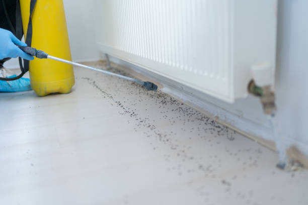 Best Commercial Pest Control Services  in Stanton, CA